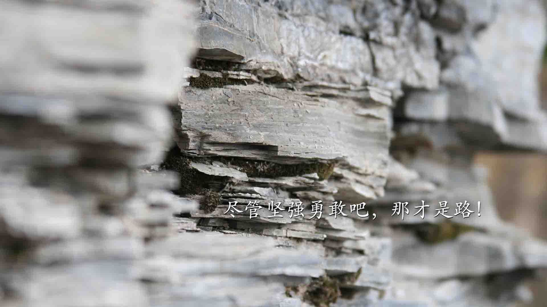 穿越防守的钢琴师,当山西猛龙遭遇霍勒迪的无聊艺术