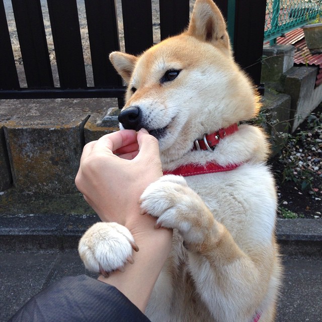 开云体育在线-世界排名争夺战之夜，佩德里用两粒进球重绘足坛权力版图